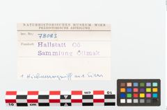Foto von Eisenhiebmesser (NHMW-PRAE-078083)